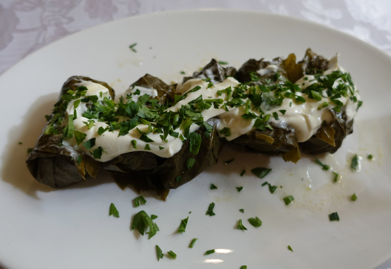 Dolma, Cat Cafe Review, St. Petersburg Russia