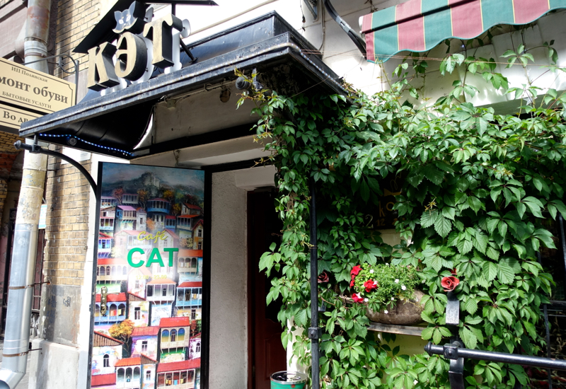 Review-Cat Cafe St. Petersburg Russia, Stremyannaya Ulitsa 22