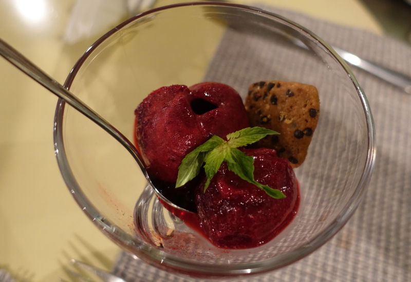 Black Currant Sorbet, Volkonsky Bakery Cafe Review St. Petersburg Russia