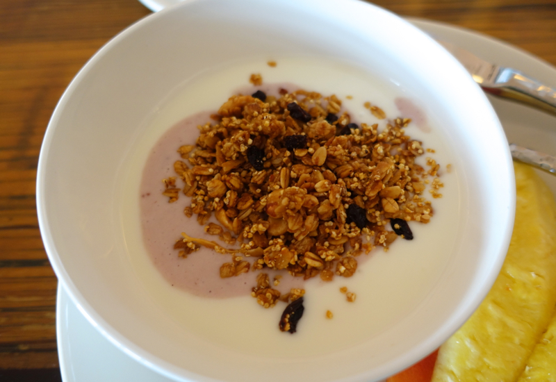 Yogurt and Granola