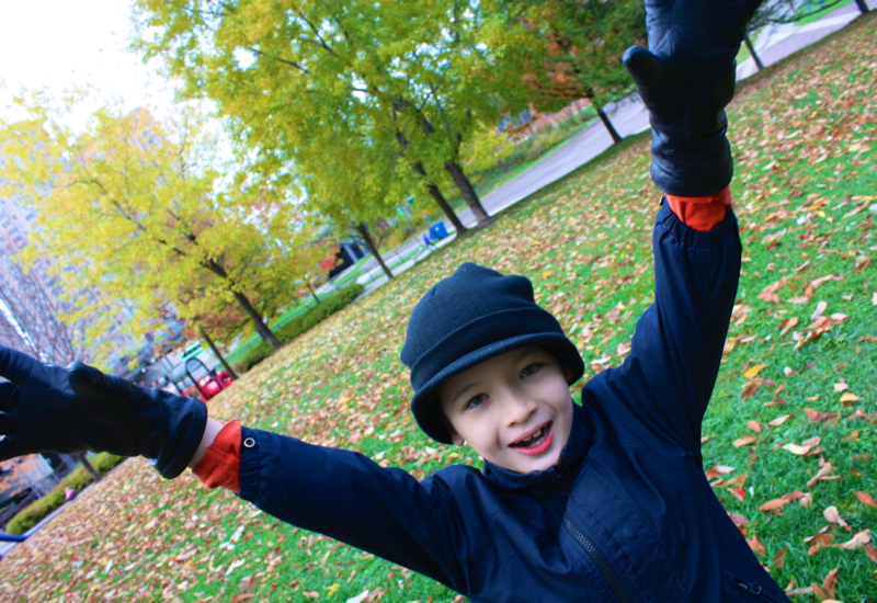 LiveToronto Walking Tour Review: Fun with Fall Leaves