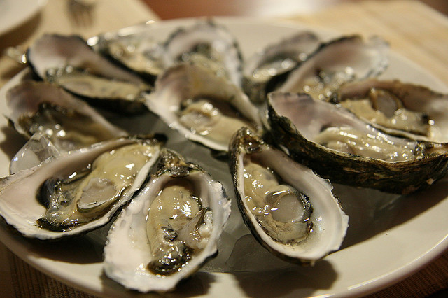 Oysters on the half shell