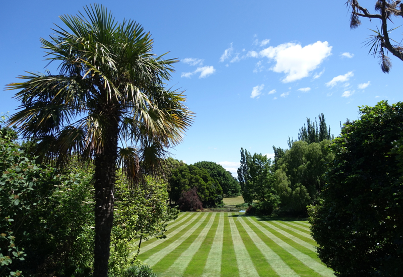 Otahuna Lawn and Trees Near Christchurch, New Zealand