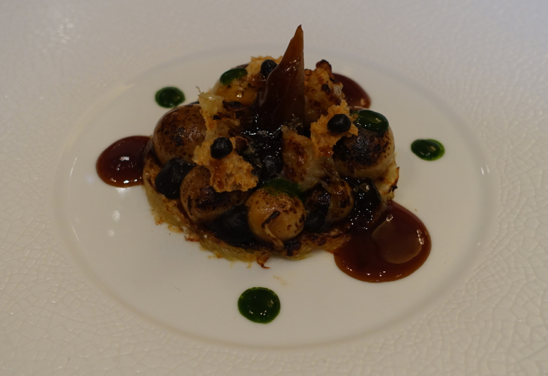 Gratinated Onions, Le Cinq Restaurant Review, Four Seasons Paris