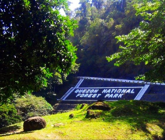 Quezon National Forest Park, Philippines