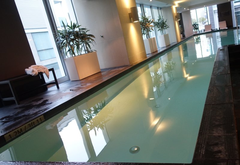 Swimming Pool, Sofitel Auckland Review