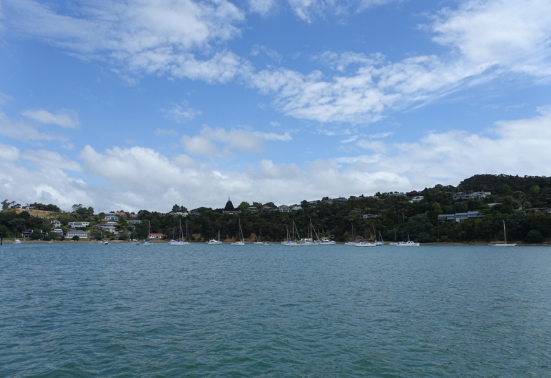 View from Paihia Car Ferry on the Way to Eagles Nest, New Zealand