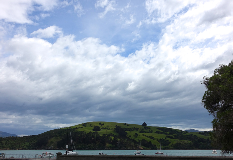 Things to Do in Akaroa: Walk Along Harbour