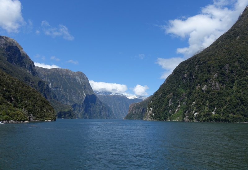 Milford Sound Flight and Cruise with Real Journeys