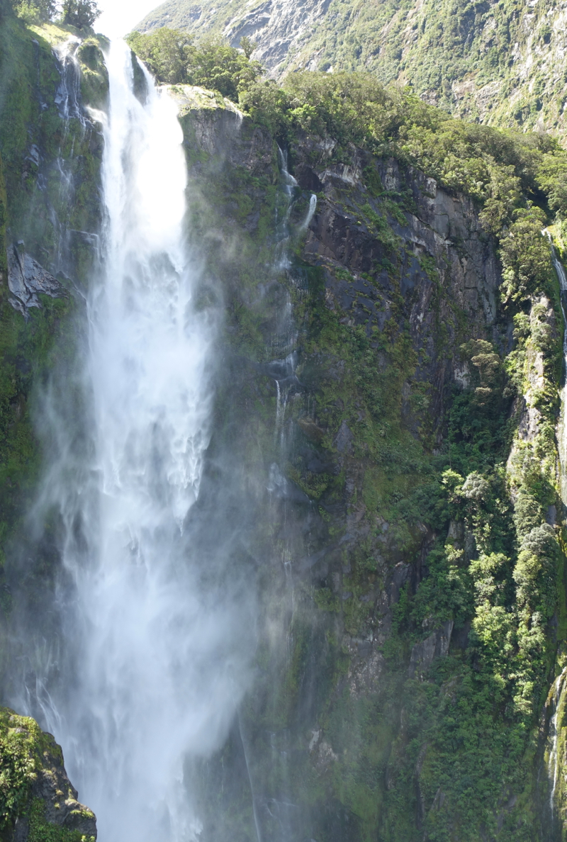 real journeys cruise milford sound