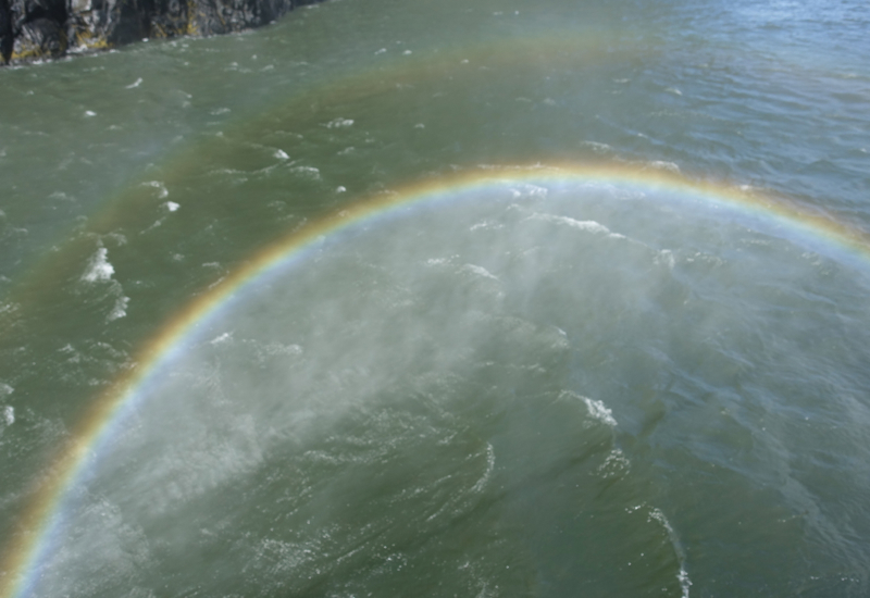 real journeys cruise milford sound