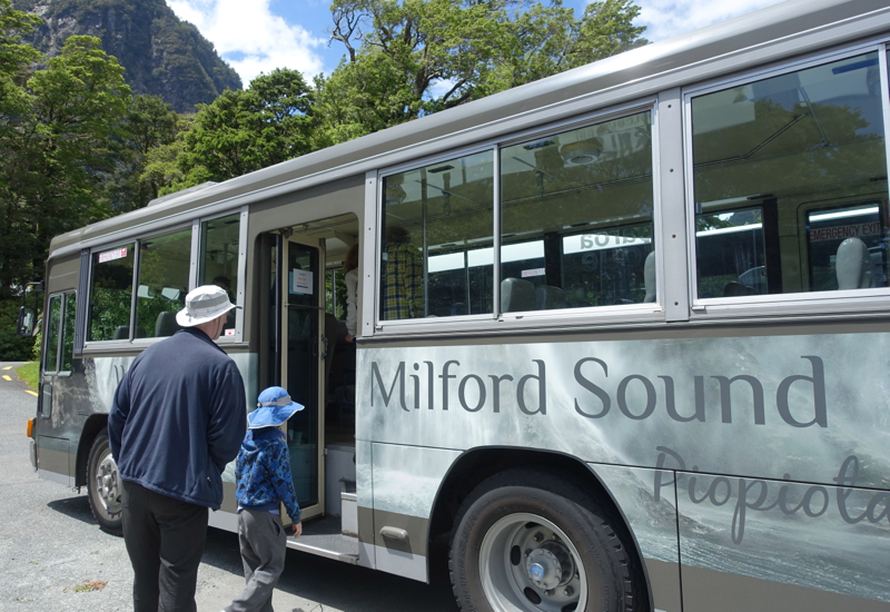 Shuttle Bus, Milford Sound Flight and Cruise with Real Journeys
