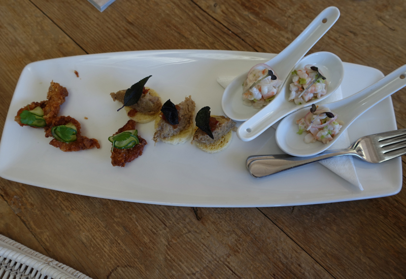 Pre-Dinner Canapes, Matakauri Lodge Dining Review, Queenstown