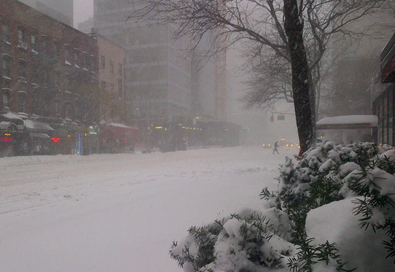 Winter Storm Jonas in NYC
