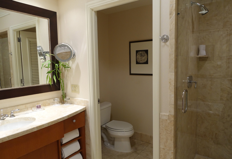 Separate Toilet Chamber and Shower Stall, Ritz-Carlton Boston Review