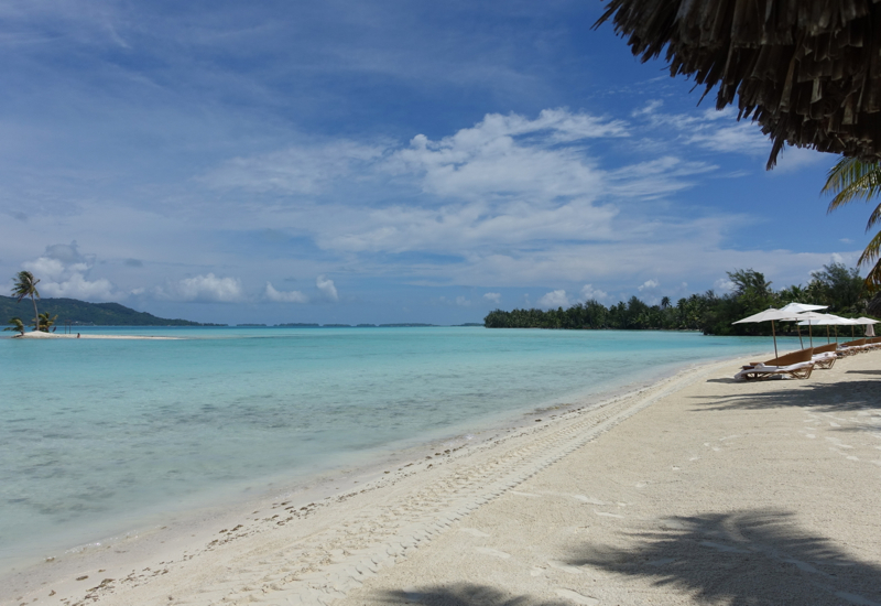 White Sand Beach in Paradise