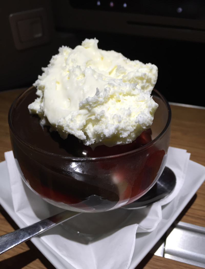 Hot Fudge Sundae for Dessert, American A321 First Class Review