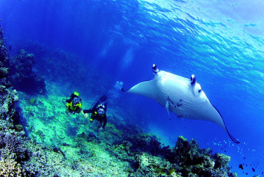 Go Scuba Diving in Bora Bora