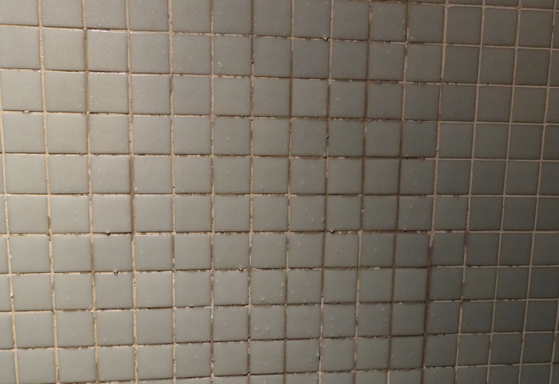 Mildew in Grout of Shower, InterContinental Bora Bora Review