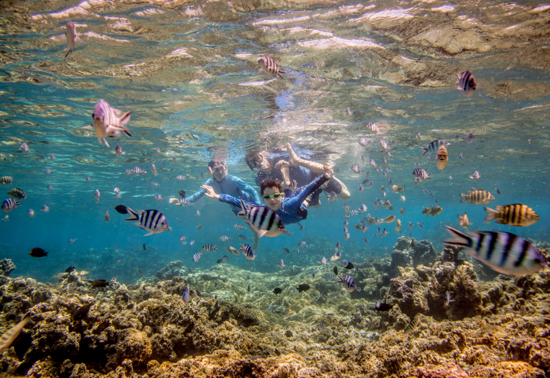 Snorkeling in the Coral Garden, Bora Bora Dream Pictures Review