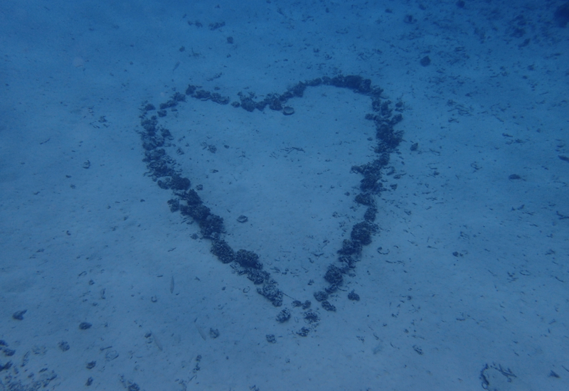 Heart in the Sand, Bora Bora, Pure Snorkeling Review