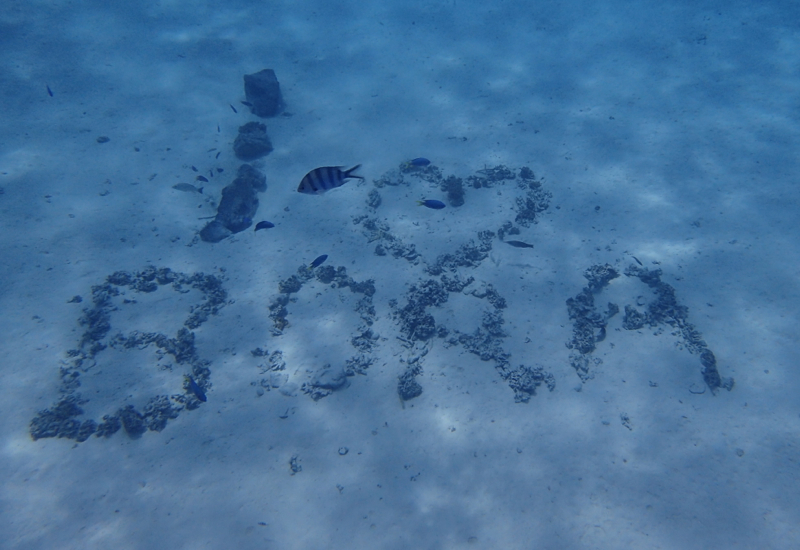 I Love Bora in the Sand, Bora Bora, Pure Snorkeling Review