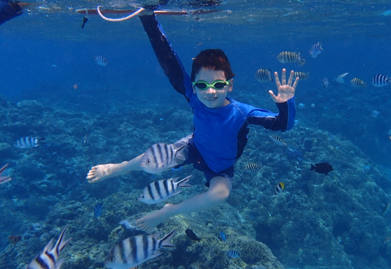 Pure Snorkeling Review Bora Bora-Great for Kids