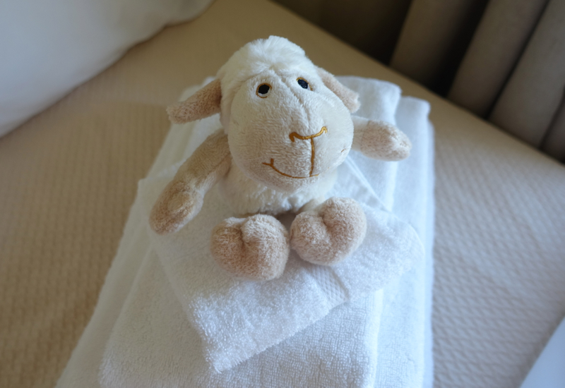 Kid's Welcome Amenity, The Farm at Kidnappers Review