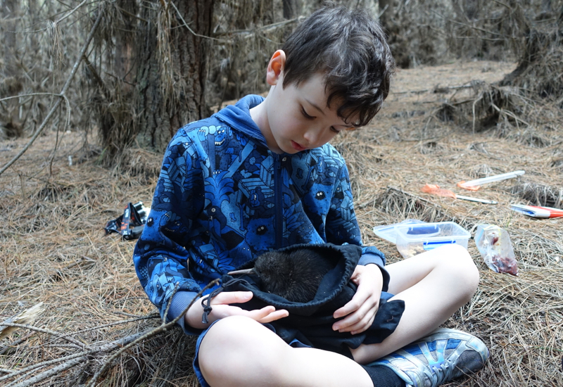 Holding Suave, a Baby Kiwi, Cape Sanctuary