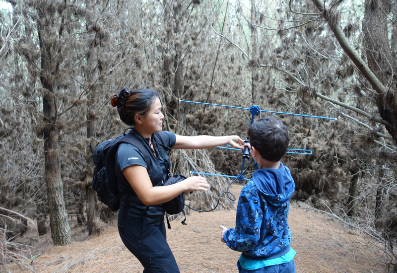 Best Place to See a Kiwi Bird in New Zealand-Kiwi Walk at Cape Sanctuary