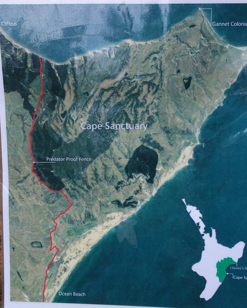 Cape Sanctuary Map and Predator Proof Fence