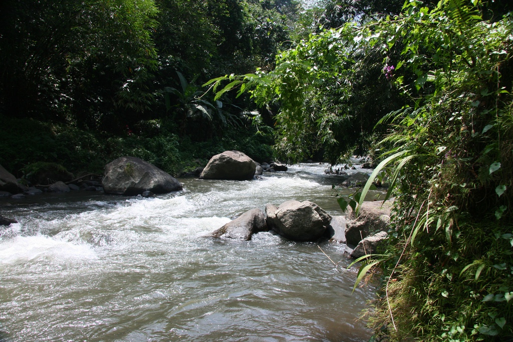 Biking, Rafting and Elephant Riding in Ubud, Bali