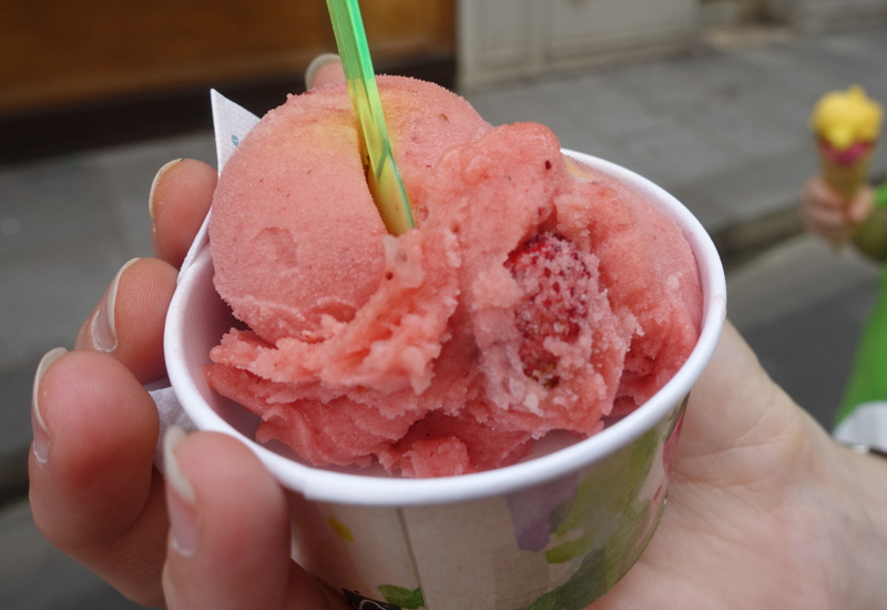 Berthillon Sorbet in Paris: Fraises des Bois