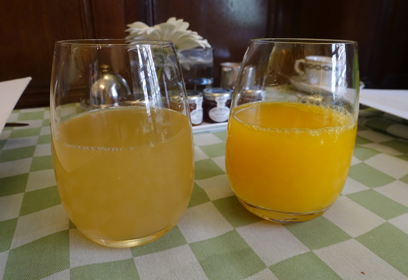 Fresh Squeezed Juices, Milestone Hotel Breakfast Review