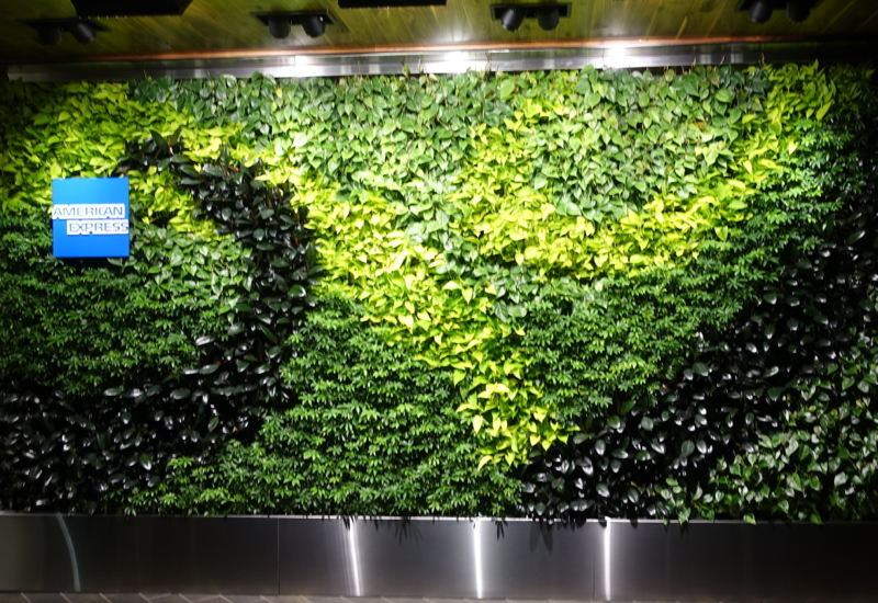 Plant Wall, AMEX Centurion Lounge Houston Review