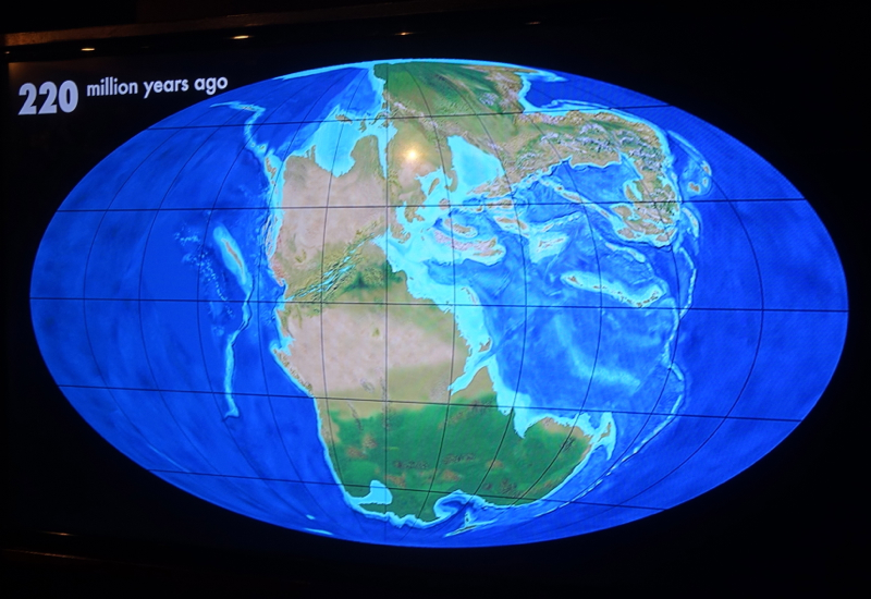 The Earth 220 Million Years Ago, London Natural History Museum Review