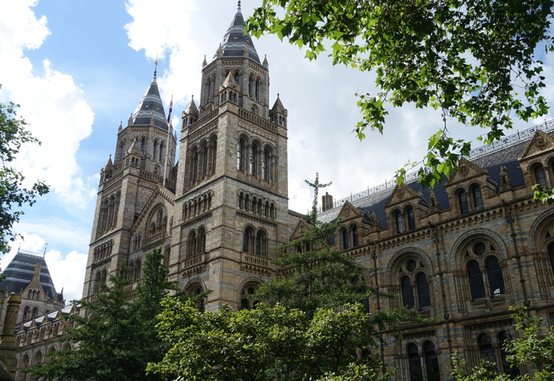 Review: London's Natural History Museum