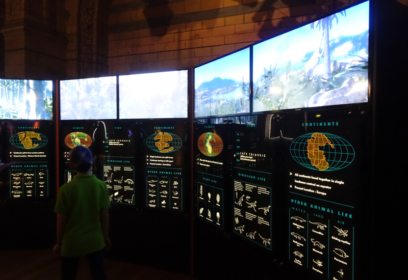 Dinosaurs in the Cretaceous, Jurassic and Triassic