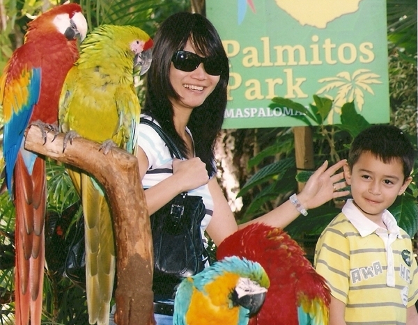 Parrots at Palmitos Park, Gran Canaria, Grand Canary