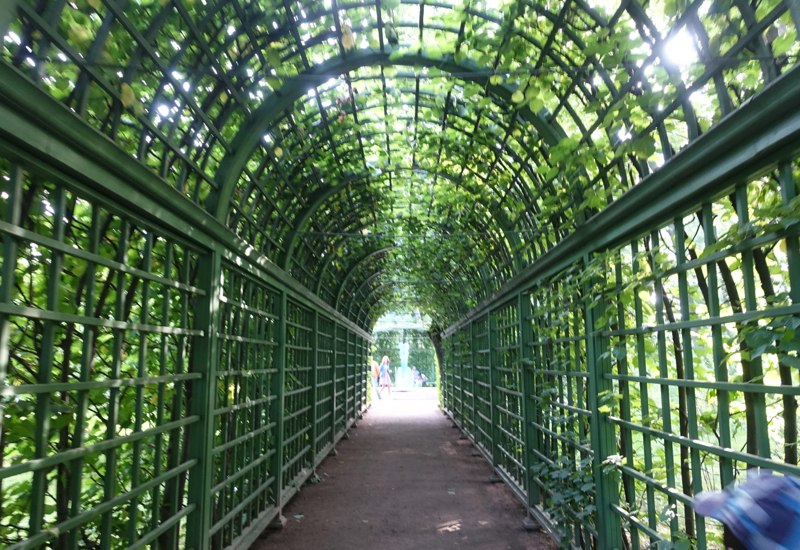 Arbor, Summer Garden, St. Petersburg Russia 