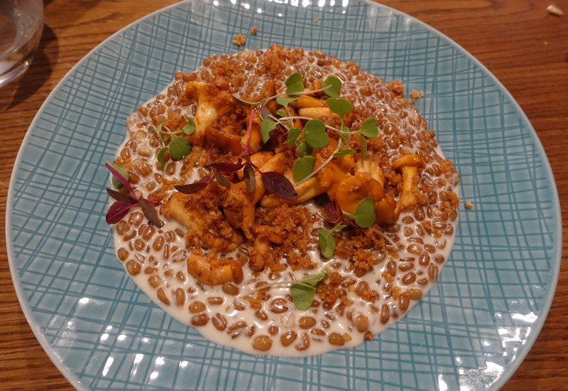 Wheat with Chanterelles, Duo Gastrobar Review, St. Petersburg Russia