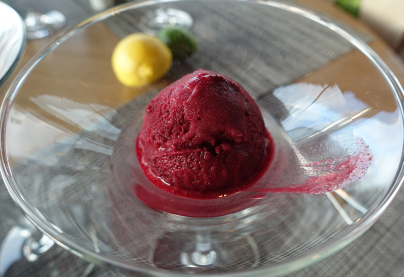 Black Currant Sorbet, Mansarda Restaurant Review, St. Petersburg