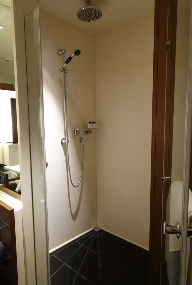 Rain Shower, Park Hyatt Moscow Review