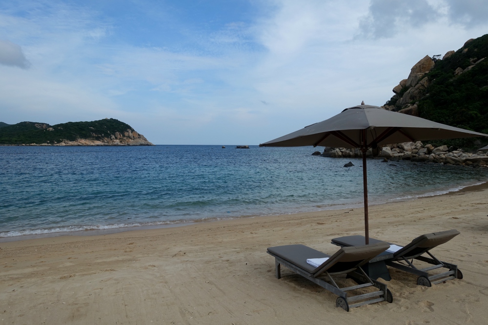 Beach and Lounge Chairs