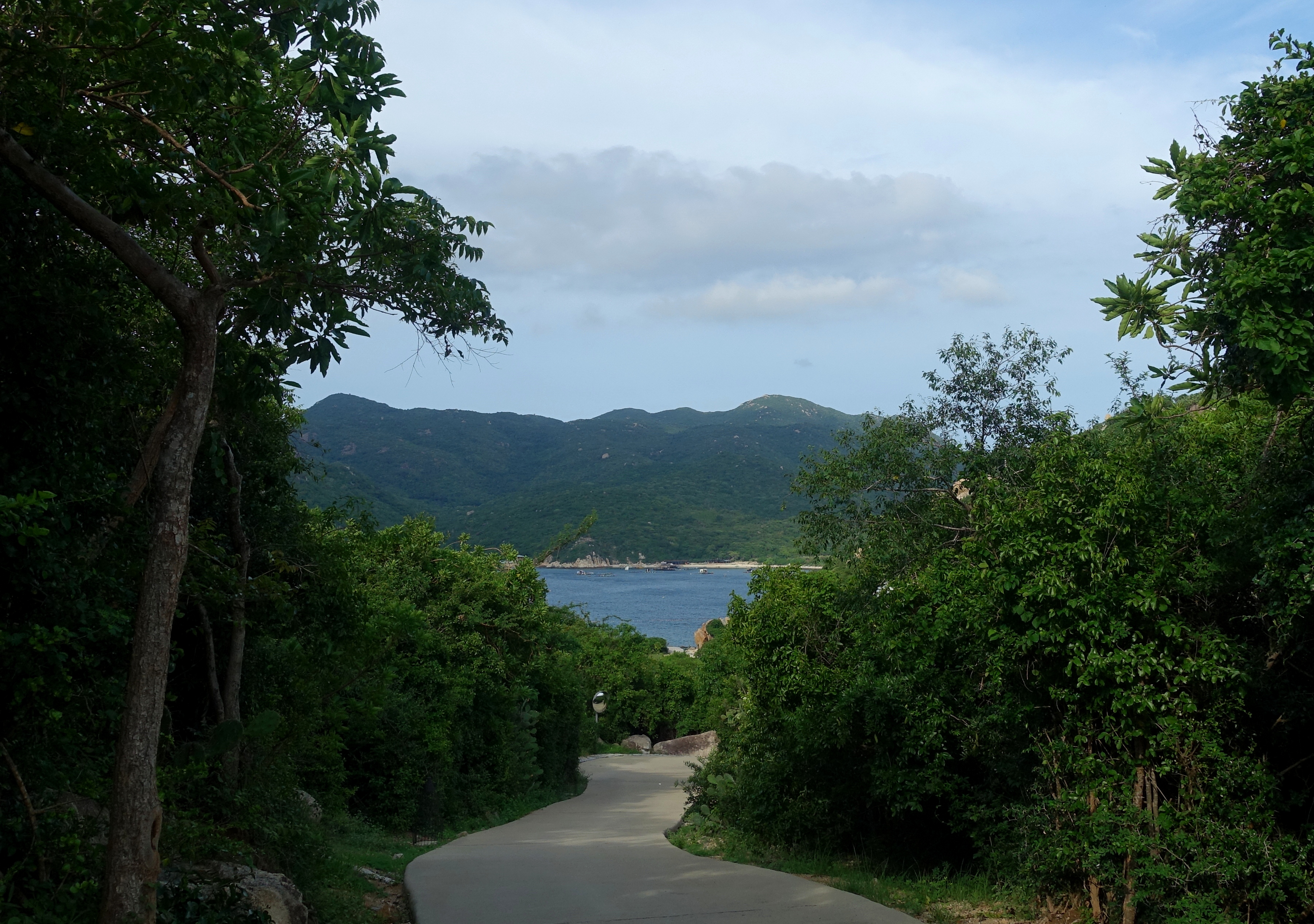 Sea View from a Resort Path