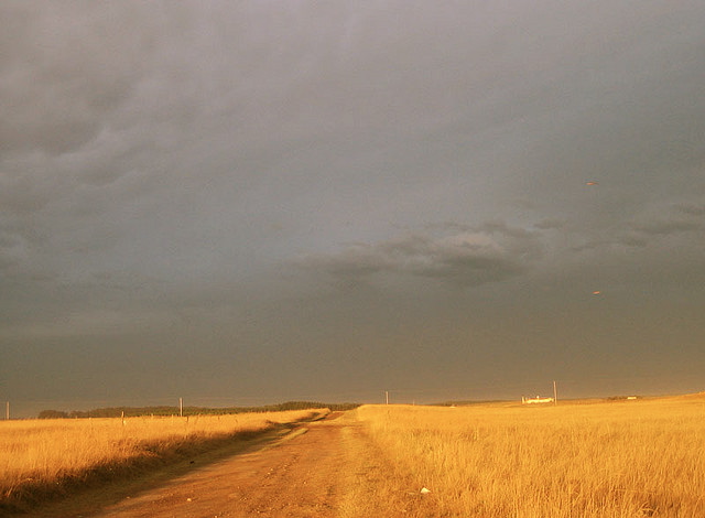 Country roads leading to the beach 