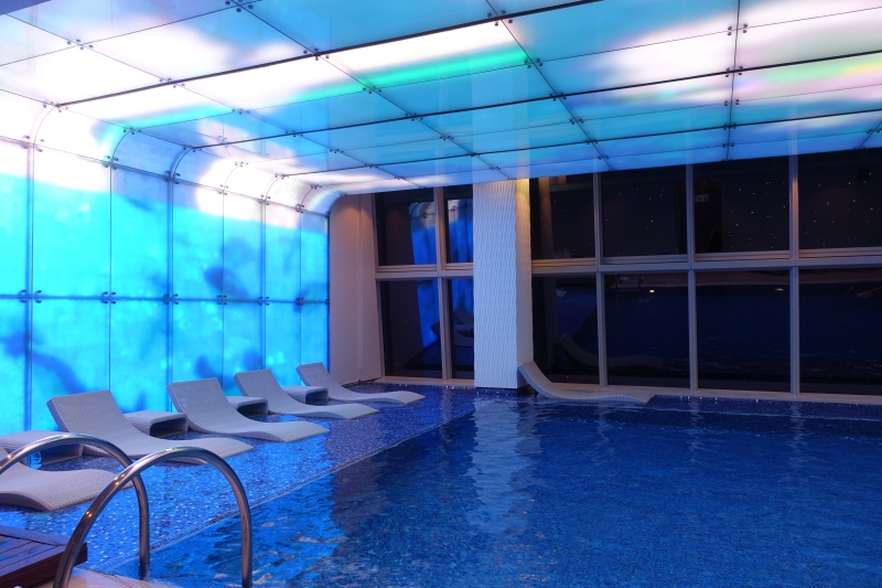 Infinity Pool, The Ritz-Carlton Hong Kong Review