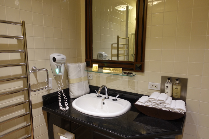 Shower Room, Emirates Lounge JFK Review