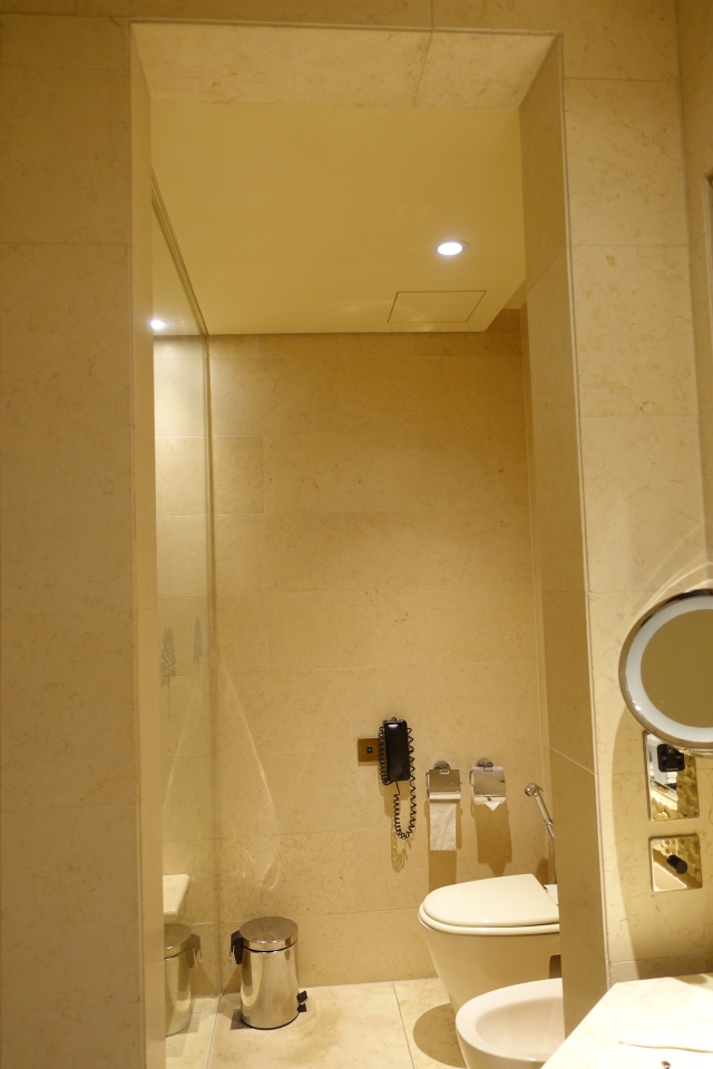 No Door to Toilet, Raffles Dubai Review