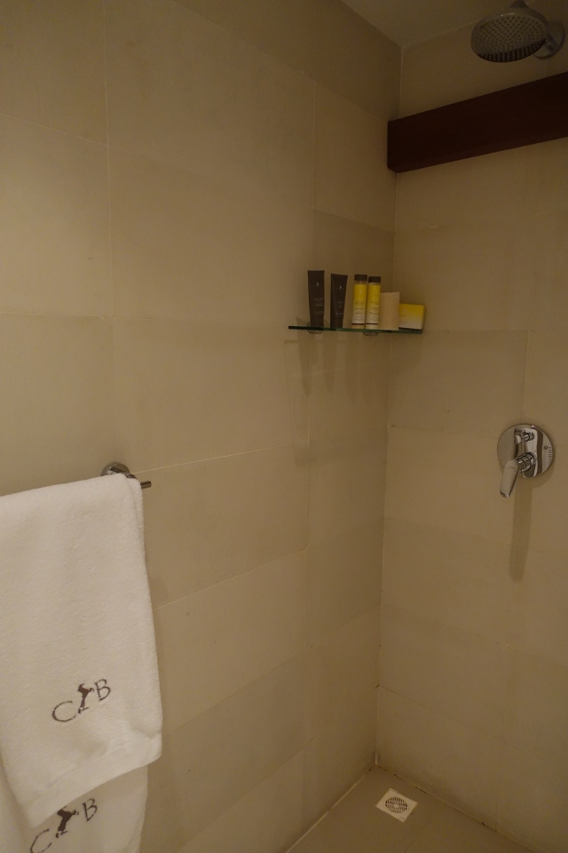 Shower, Cheval Blanc Randheli Lounge Review